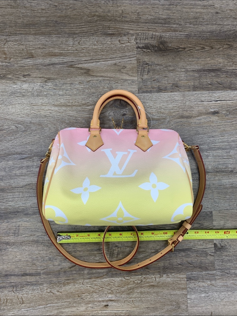 Louis Vuitton By The Pool Speedy 25 Bandoulière